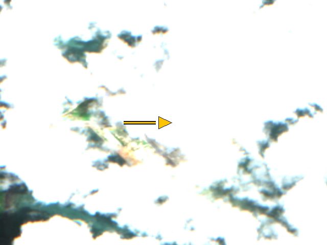 Sentinel-2 true-colour crop centred on the stored coordinate for Kililana / Manda Bay commercial port, Kenya, acquired 2026-10-15. An arrow marks that stored point. Whole-scene cloud cover is 21.1 percent. This is a catalog crop, not a surveyed map and not a flight.