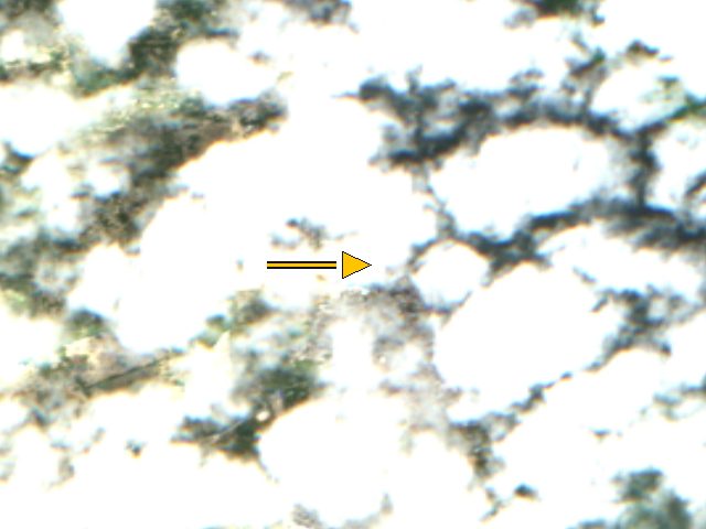 Sentinel-2 true-colour crop centred on the stored coordinate for Lamu, Kenya, acquired 2026-10-15. An arrow marks that stored point. Whole-scene cloud cover is 21.1 percent. This is a catalog crop, not a surveyed map and not a flight.
